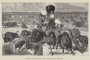 Att skjuta bufflar på Kansas-Pacific Railway av George Augustus Sala
