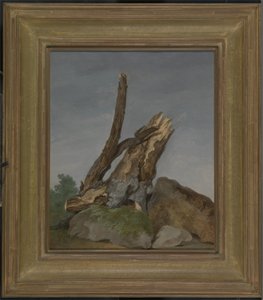 Study of Rocks and Branches, c.1795 (olja på papper)