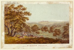 Windsor Forest - pocketutgåva av George Baxter