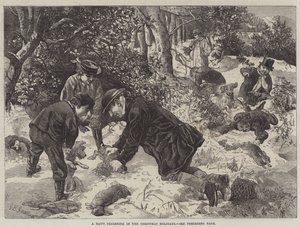 En dags jäsning i julhelgen av George Bouverie Goddard