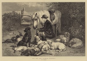 Dog Boy och Clumber Spaniels
