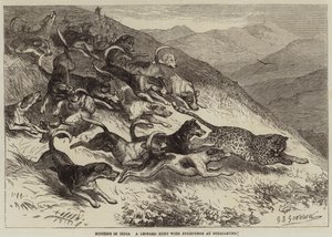 Jakt i Indien, leopardjakt med rävhundar i Ootacamund av George Bouverie Goddard