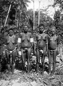 Kvinnor i festivaldräkt, Melanesia, 1920. av George Brown