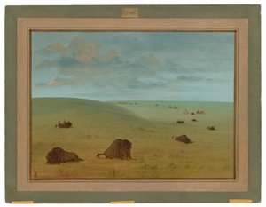 swedish av George Catlin