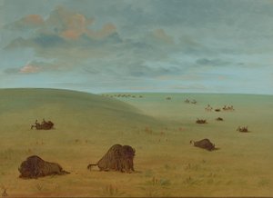 Efter buffeljakten - Sioux, 18611869. av George Catlin