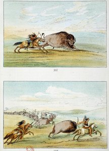 Amerikanska indianer: visenterjakt. Illustration av George Catlin (1794-1872) av George Catlin