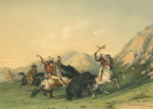 Att attackera Grizzlybjörnen av George Catlin