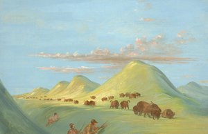 Batiste, Bogard och jag närmar mig Buffalo på Missouri, 1837-1839. av George Catlin