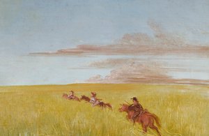 Bogard, Batiste och jag, på resa genom en botten i Missouri av George Catlin