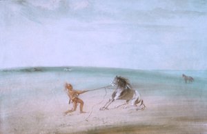 Att bryta ner den vilda hästen av George Catlin
