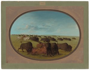 Buffalo Chase, med olyckor av George Catlin