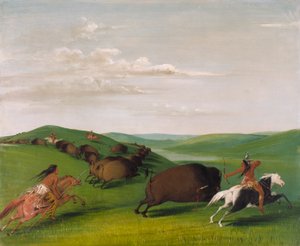 Buffalo Chase med bågar och lansar av George Catlin