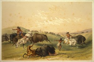 Buffeljakt: En talrik grupp av George Catlin