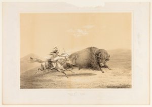 Buffeljakt, Chase... nr. 5 av George Catlin