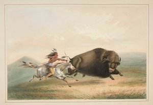 Buffalo Hunt, Chase, pl. 5 från North American Indian Portfolio av George Catlin
