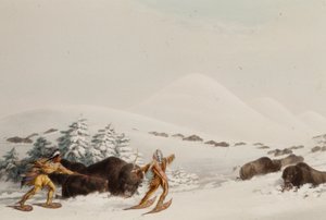 Buffeljakt på snöskor av George Catlin