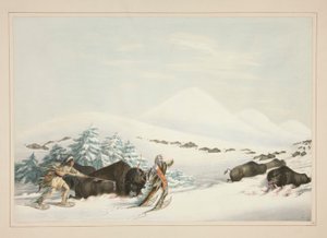 Buffeljakt, på snöskor, pl. 15 från North American Indian Portfolio av George Catlin