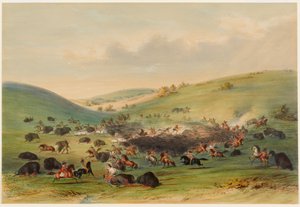 Buffeljakt, inringning av George Catlin