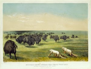 Buffeljakt under den vita vargens skinn av George Catlin