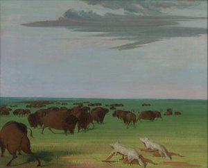 Buffeljakt under vargskinnsmasken, 1832-1833. av George Catlin