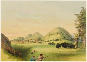 Buffeljakt, närmande i en ravin av George Catlin