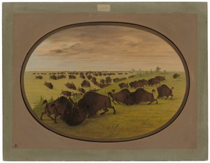 Tjurfäktning av George Catlin
