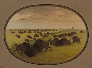 Tjurfäktning, 18611869. av George Catlin