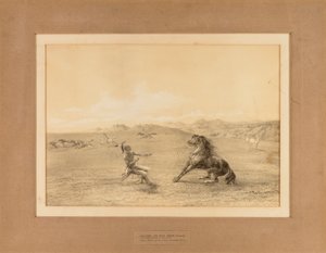 Att fånga den vilda hästen - nr. 4 av George Catlin
