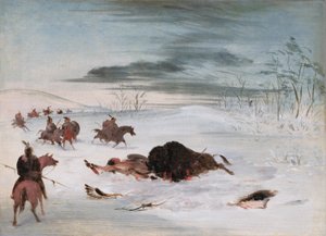 Döende buffeltjur i en snödriva av George Catlin