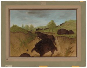 Grizzlybjörnar attackerar buffel av George Catlin