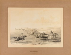 Indianer jagar bufflar - nr 29 av George Catlin