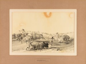 Indianer jagar bufflar - nr 7 av George Catlin