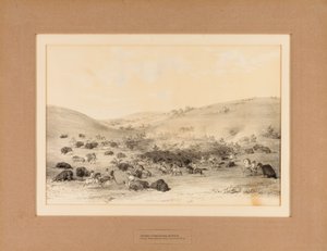 Indianer omringar Buffalo - nr 9 av George Catlin