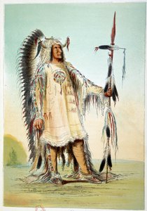 Indians of America: Mah-To-Toh-Pa (Mah To Toh Pa), andra Mandan-hövdingens klänning. Illustration av George Catlin (1794-1872) av George Catlin