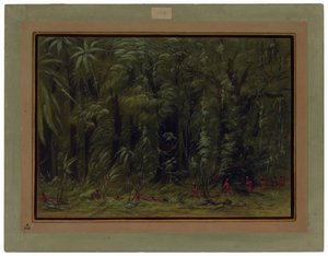 Interiör av en Amazonskog - Zurumati av George Catlin