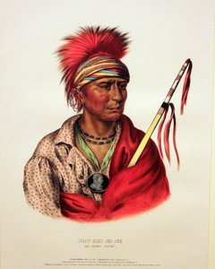 Iowayhövdingen Not-Chi-Mi-Ne av George Catlin