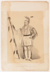 Joc-o-sot, den vandrande björnen av George Catlin
