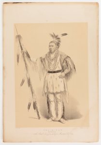Joc-o-sot, den vandrande björnen av George Catlin