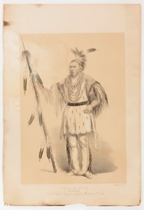 Joc-o-sot, den vandrande björnen av George Catlin
