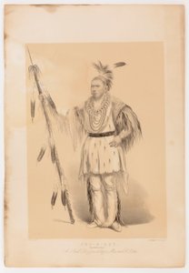 Joc-o-sot, den vandrande björnen av George Catlin