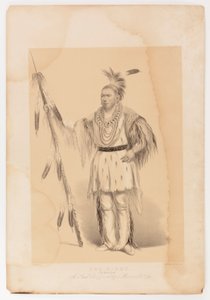 Joc-o-sot, den vandrande björnen av George Catlin