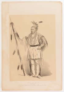 Joc-o-sot, den vandrande björnen av George Catlin