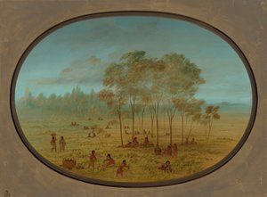Kiowa-indianer samlar vilda druvor, 18611869. av George Catlin