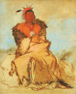 Loo-rá-wée-re-coo, Fågel som drar ut i krig, en Tapage Pawnee av George Catlin