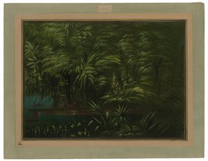Frodig skog på Amazonas strand av George Catlin