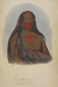 Mah-to-toh-pa (de fyra björnarna) 2:e hövding för mandanerna. av George Catlin