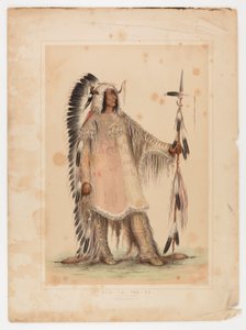 Mah-to-toh-pa, mandanhövdingen av George Catlin