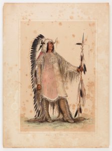 Mah-to-toh-pa, mandanhövdingen av George Catlin
