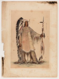 Mah-to-toh-pa, mandanhövdingen av George Catlin