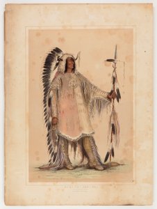 Mah-to-toh-pa, mandanhövdingen av George Catlin